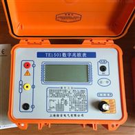 DMG2670数字兆欧表